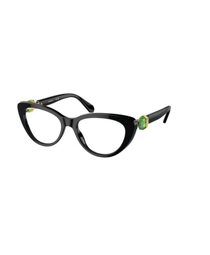 eyeglasses
