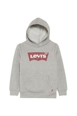 logo-pullover-hoodie