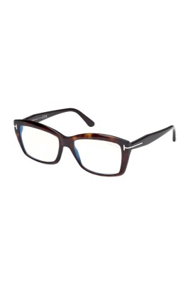 ft6065b-052-optical-frame