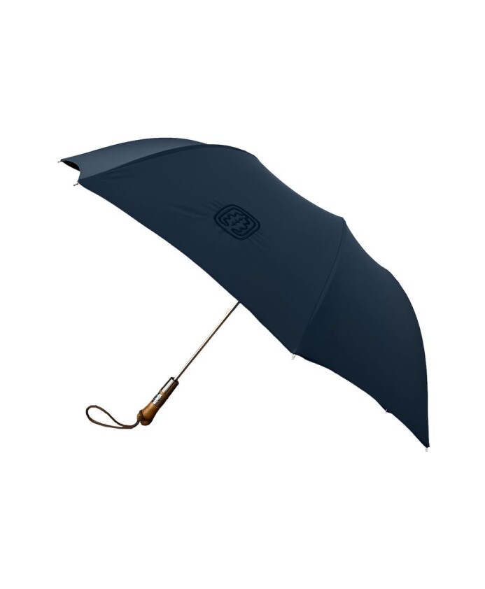 parapluie-bleu-marine