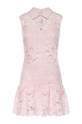 Lace Collared Mini Dress