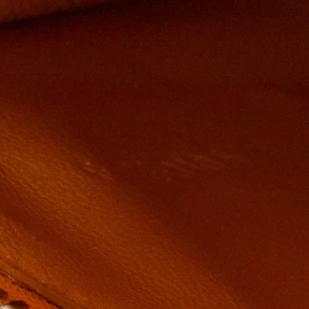 Celine Vintage Pre-owned Leather celine-bags Orange Dames