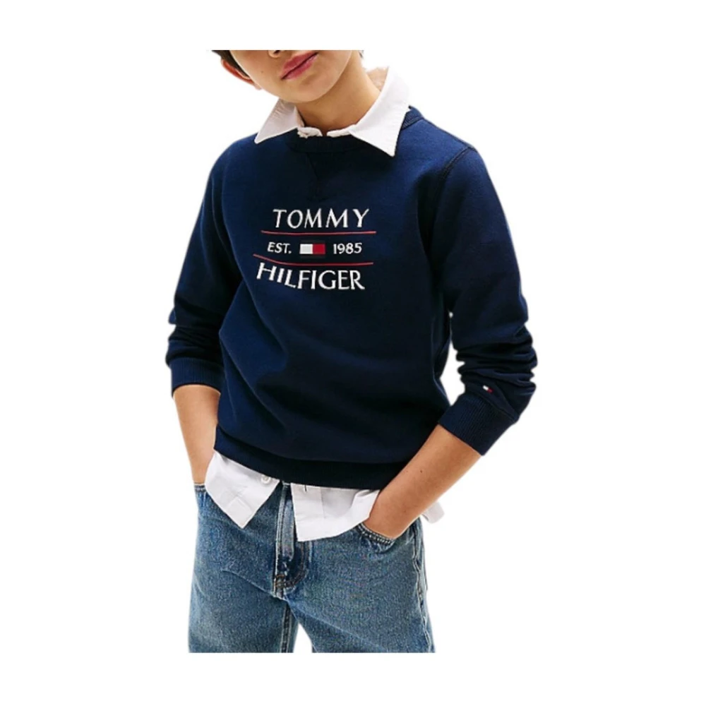 Tommy Hilfiger Boys Blue Kids Sweatshirts, 6 Y, Flag Sweatshirt