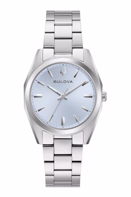 surveyor-watch
