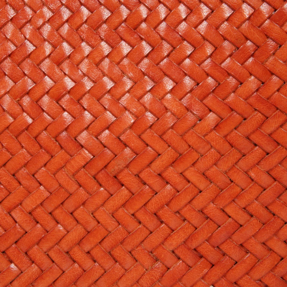 Dragon Diffusion Stijlvolle Leren Tas Orange Dames