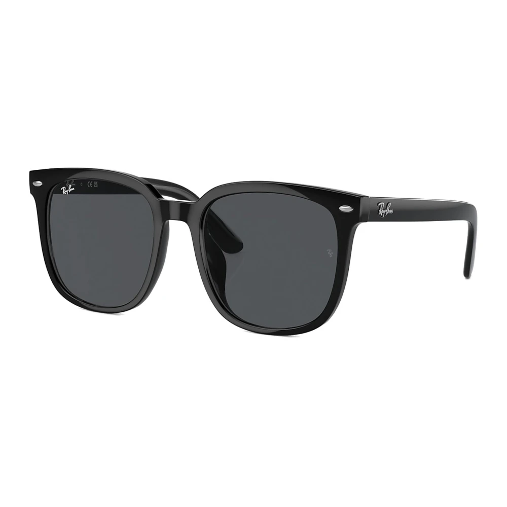 Ray-Ban Unisex Black Rb4401d Sunglasses