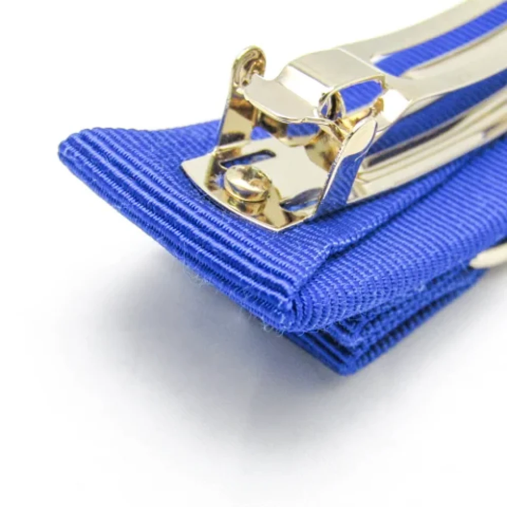 Salvatore Ferragamo Pre-owned Cotton hair-accessories Blue Dames