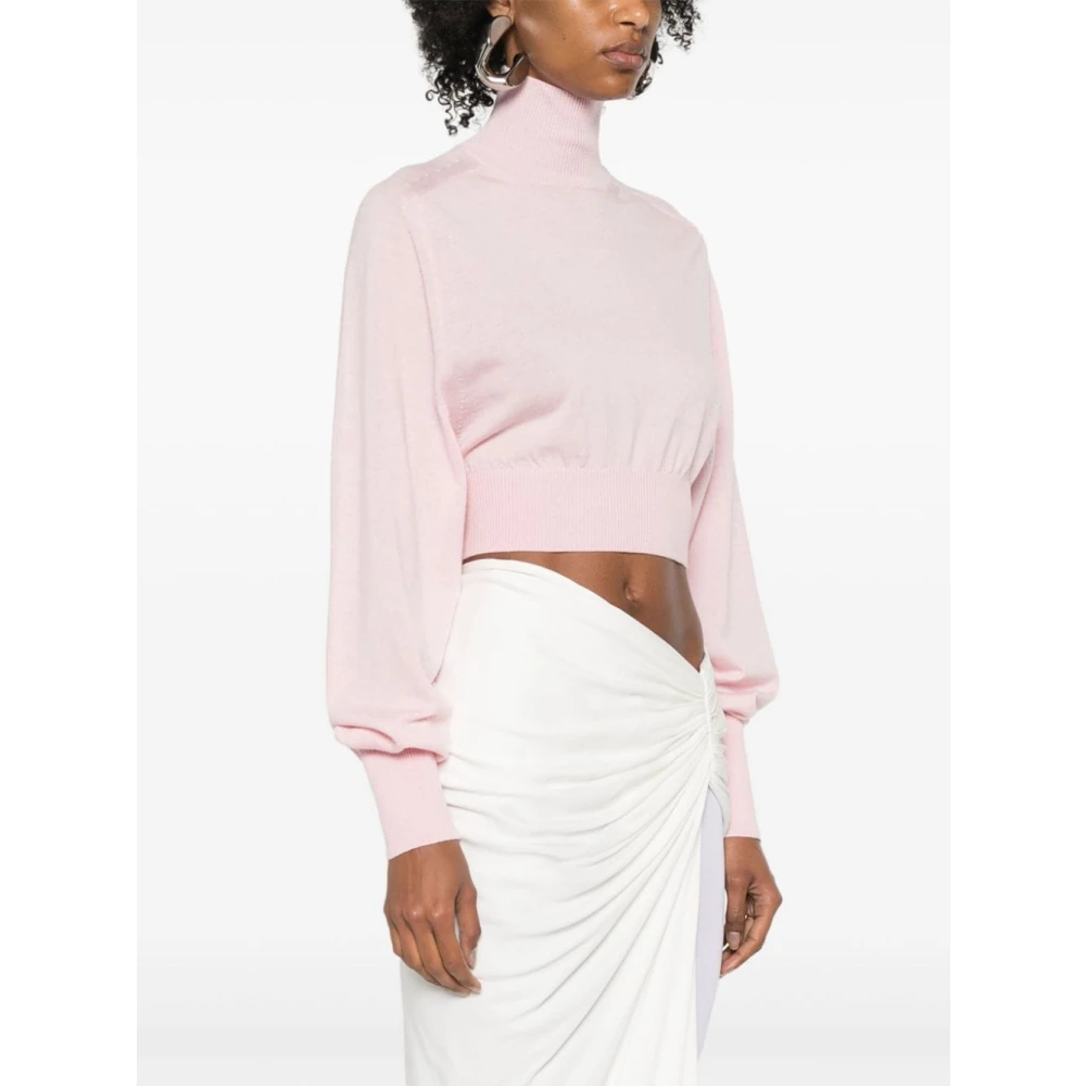 SPORTMAX Roze Gebreide Trui met Hoge Hals Pink Dames