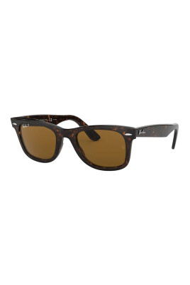 classic-wayfarer-sunglasses-polarized