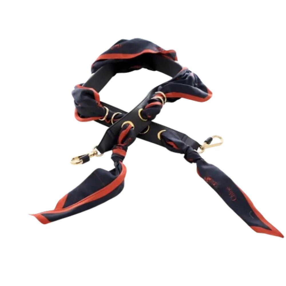 Pre-owned > Pre-owned Accessories > Pre-owned Belts - - Chloé Pre-owned - Modalova