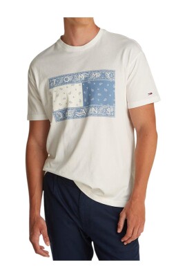 paisley-flag-graphic-tee