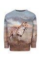 cheetah-print-cotton-sweatshirt