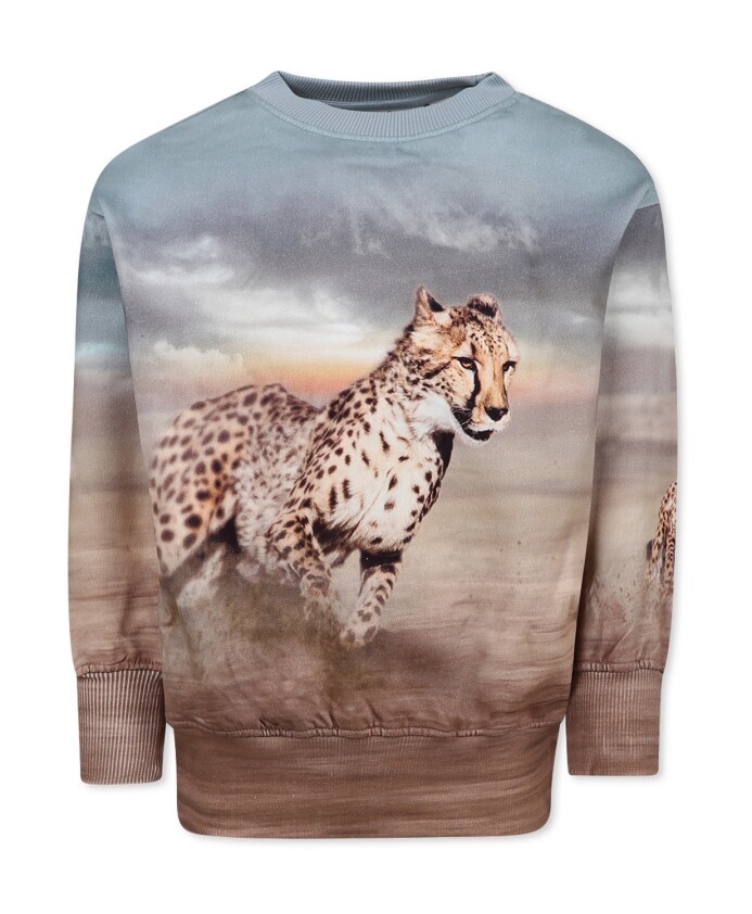 cheetah-print-cotton-sweatshirt