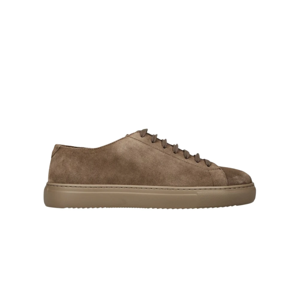 Doucal’s Sneaker in suède Heren Schoenen Bruin
