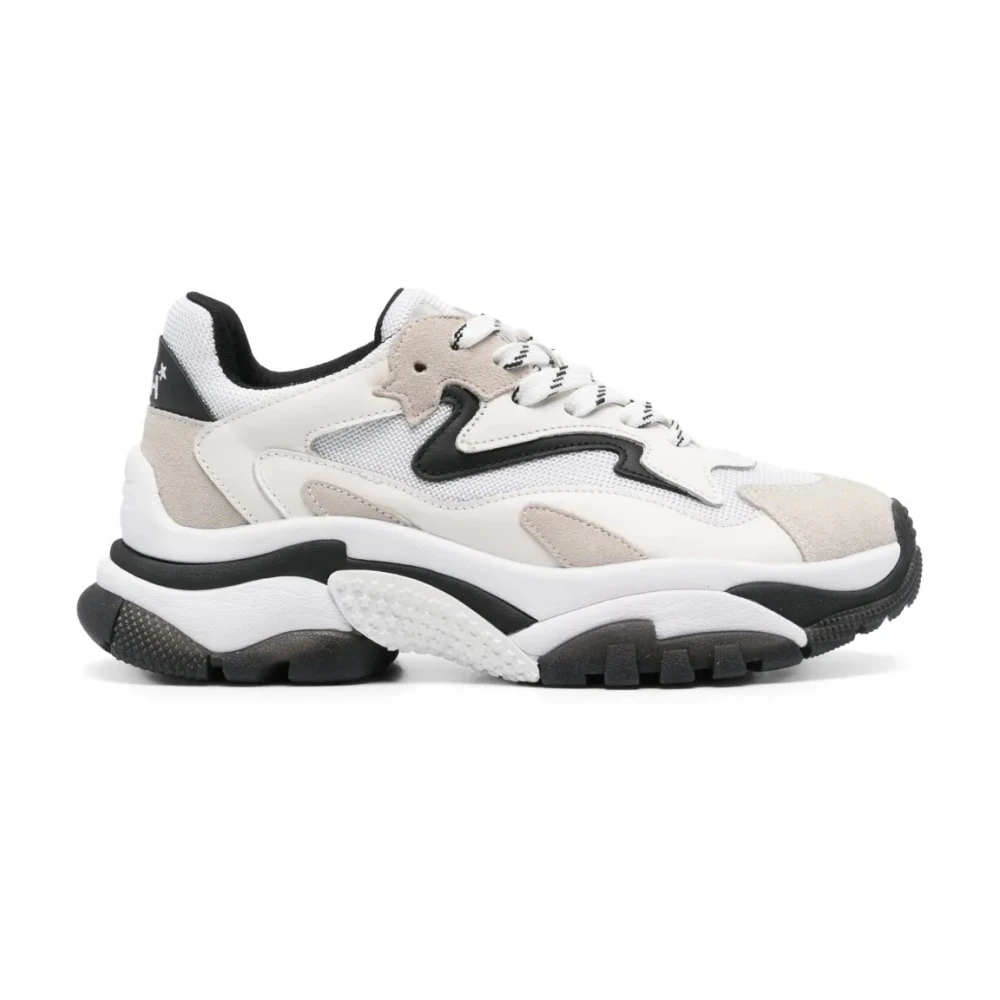 Shoes > Sneakers - - ASH - Modalova