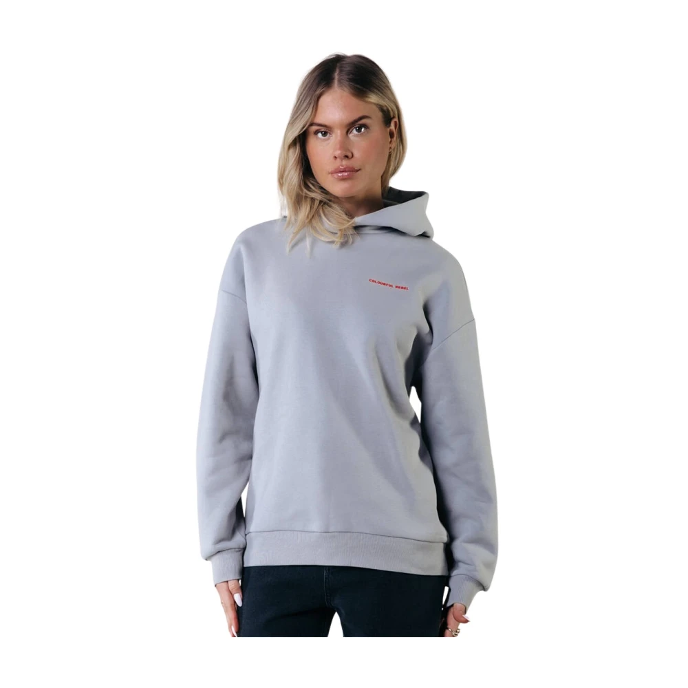 Colourful Rebel World Tour Clean Hoodie Gray Dames