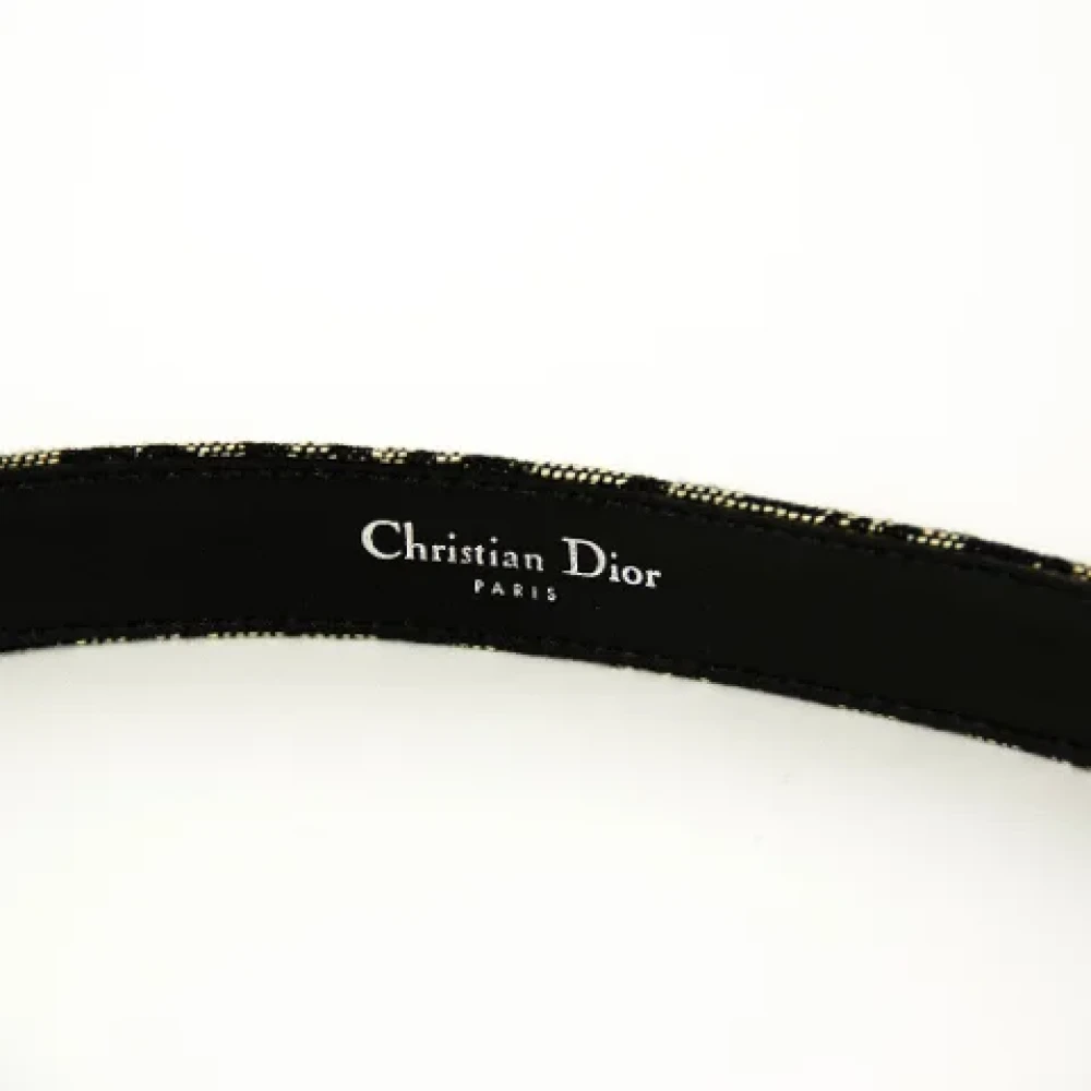 Dior Vintage Pre-owned Canvas belts Gray Dames