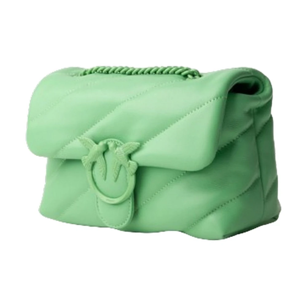pinko Bags Green Dames