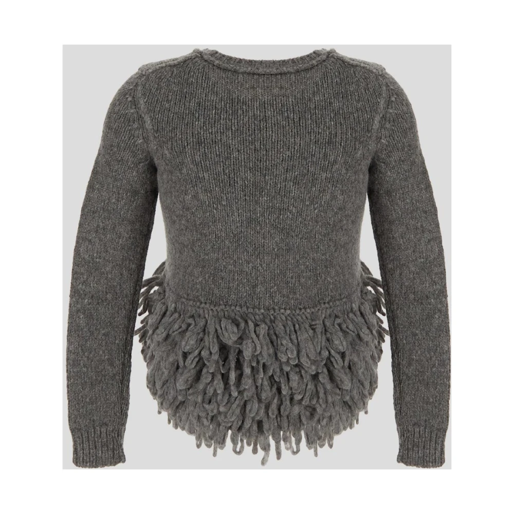 Stella Mccartney Alpaca Franje Trui Gray Dames