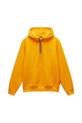 Stiliga Hoodies för vardagsbruk