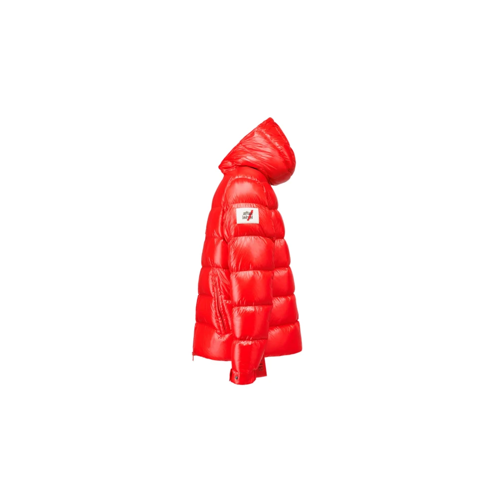 Afterlabel Rode DNA Symbool Heren Verbier Puffer Red Heren
