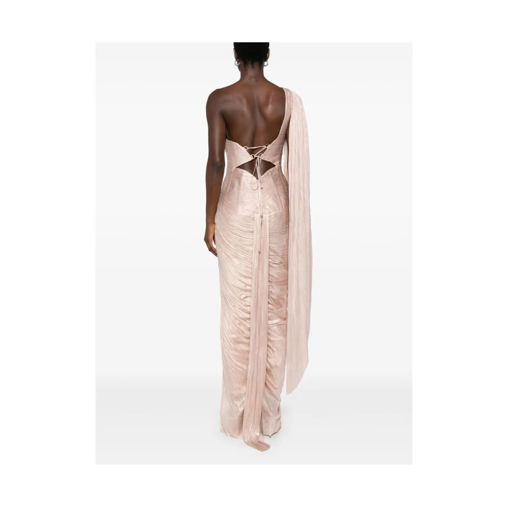 Maria Lucia Hohan Roségouden Zijden Tule Jurk Pink Dames