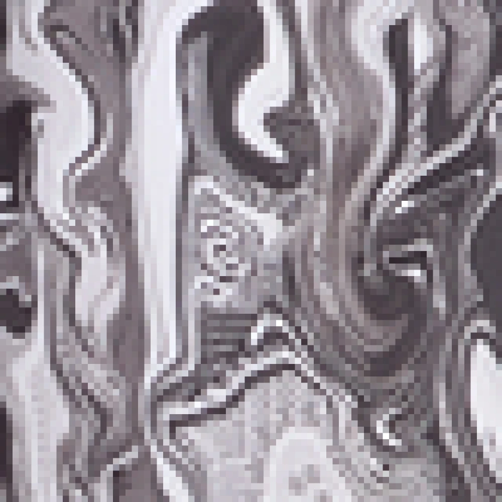 carlo colucci Sportieve Zwembroek Fusion Eiberger Multicolor Heren