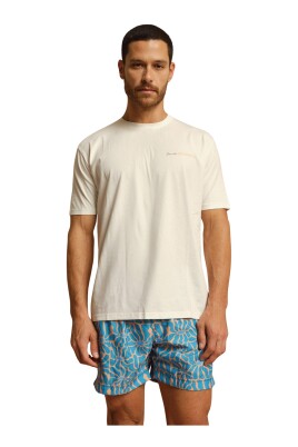 italian-art-t-shirt-with-unique-print
