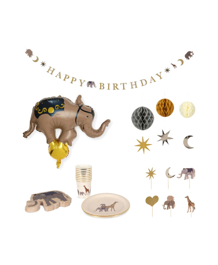 ensemble-danniversaire-safari