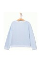 sweatshirt-bleu-avec-broderie-leopard