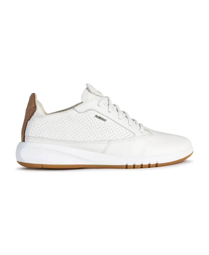 d-aerantis-a-sneakers