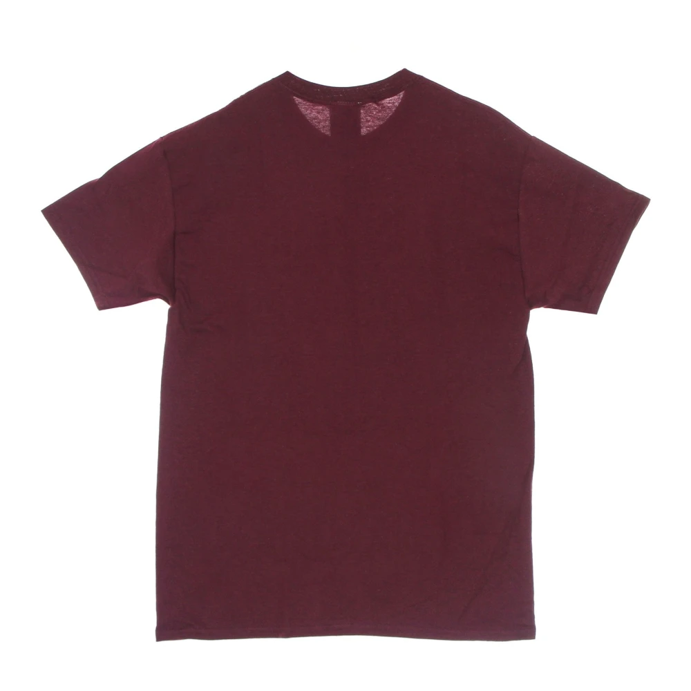 Thrasher Multicolor Regenboog Tee Maroon Heren T-shirt Brown Heren