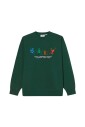 sweat-a-capuche-rain-forest