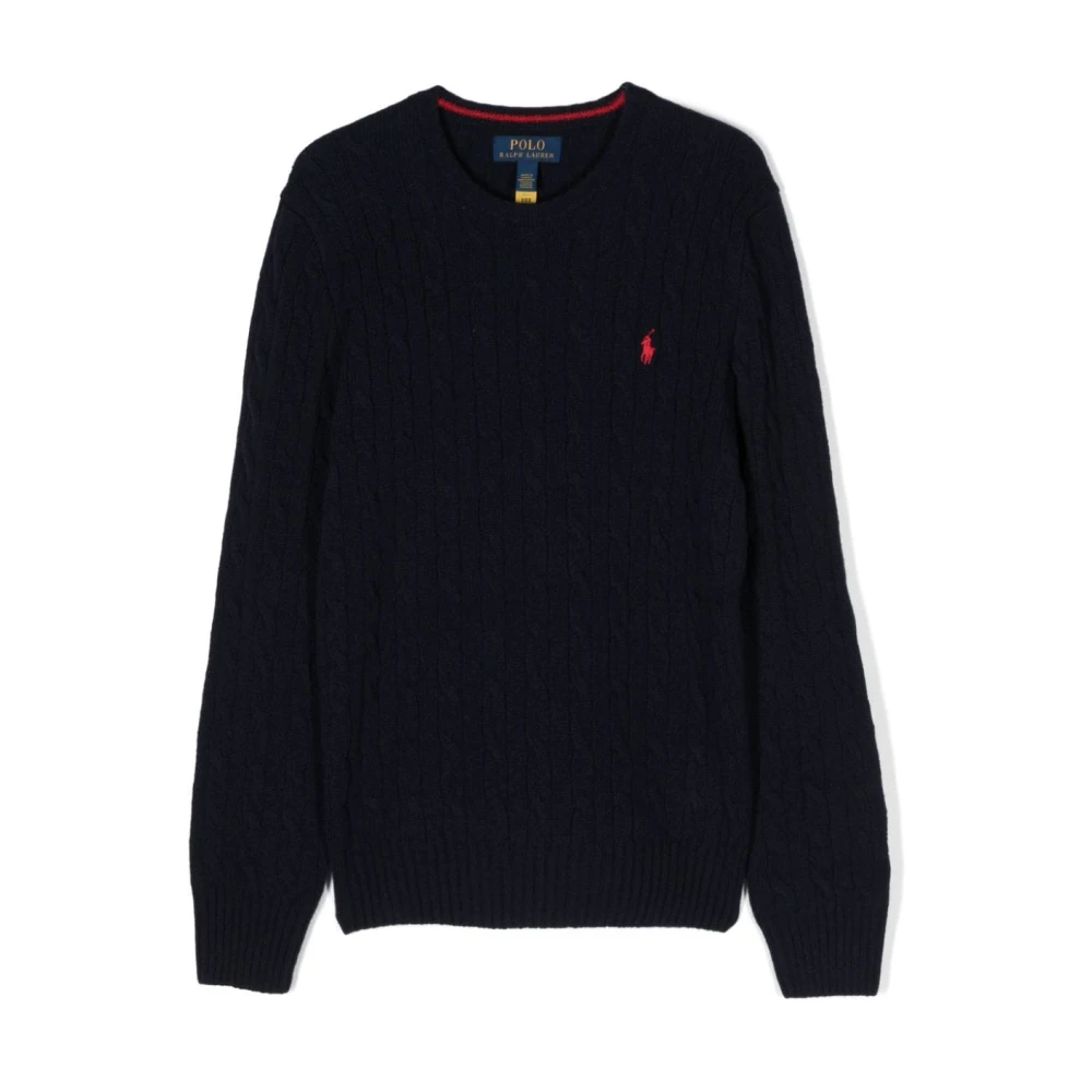 Polo Ralph Lauren Casual Sweater Pullover voor Mannen Blue Heren