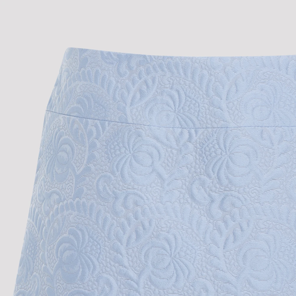 Dolce & Gabbana Roze & Paarse Rokken Aw24 Blue Dames