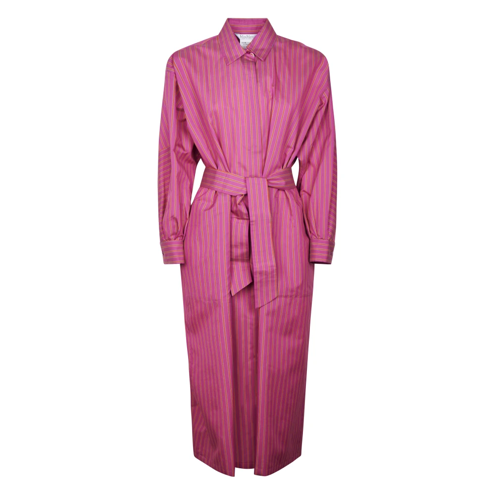 Max Mara Pink Shirt Dresses, Female, S, Abito