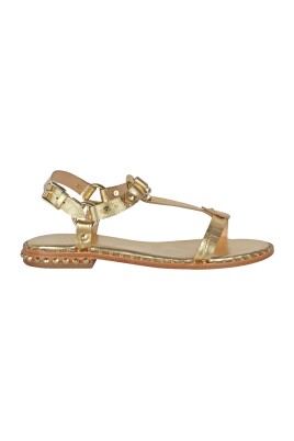 cocco-gold-stylish-handbag