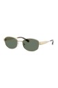 mk1161-10143h-sunglasses