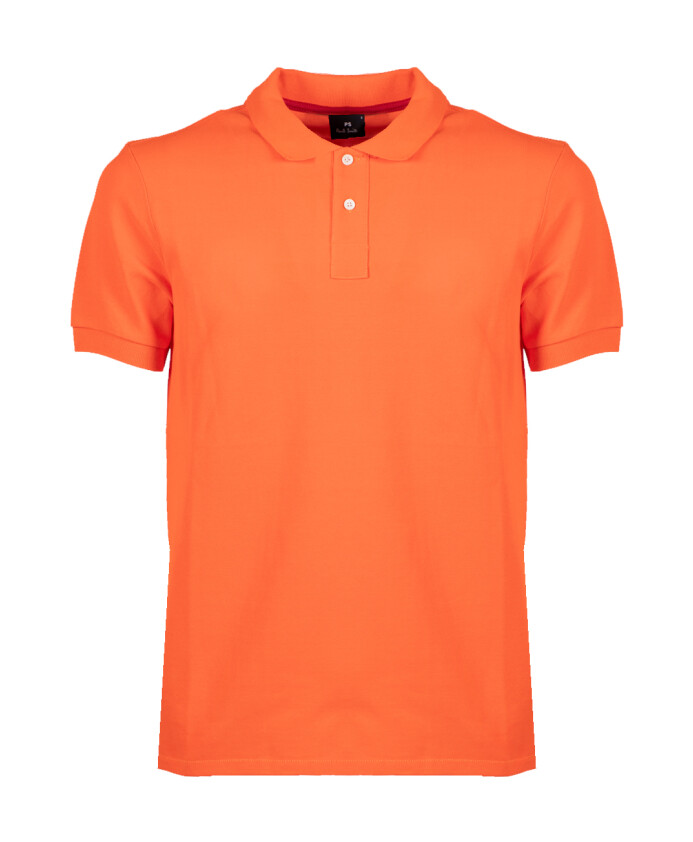 polo-zebre