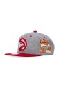 atlanta-hawks-snapback-pet-grijs