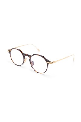 auop0008-02-optical-frame