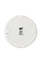 lina-cavalieri-ashtray