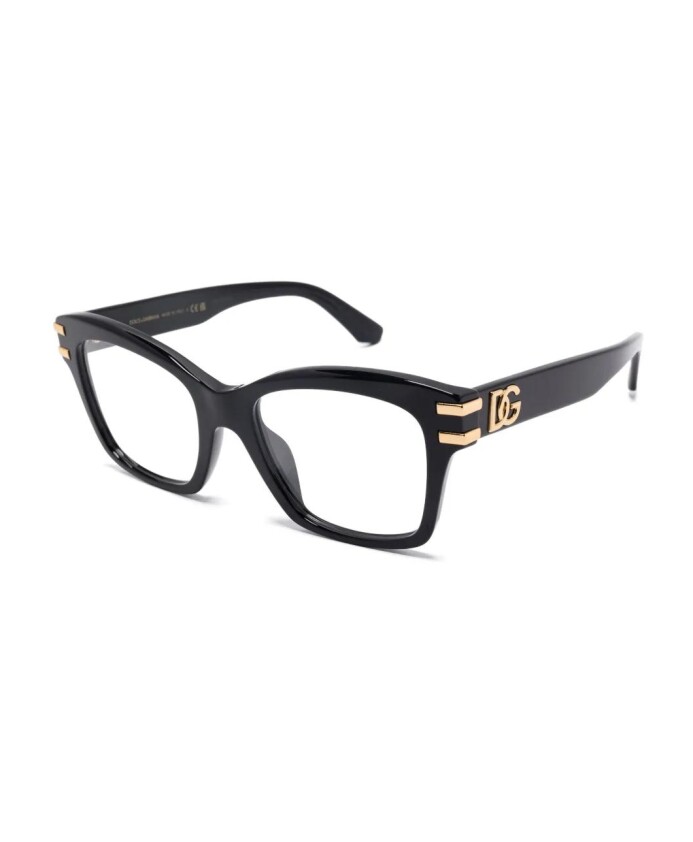 dg3419-501-optical-frame