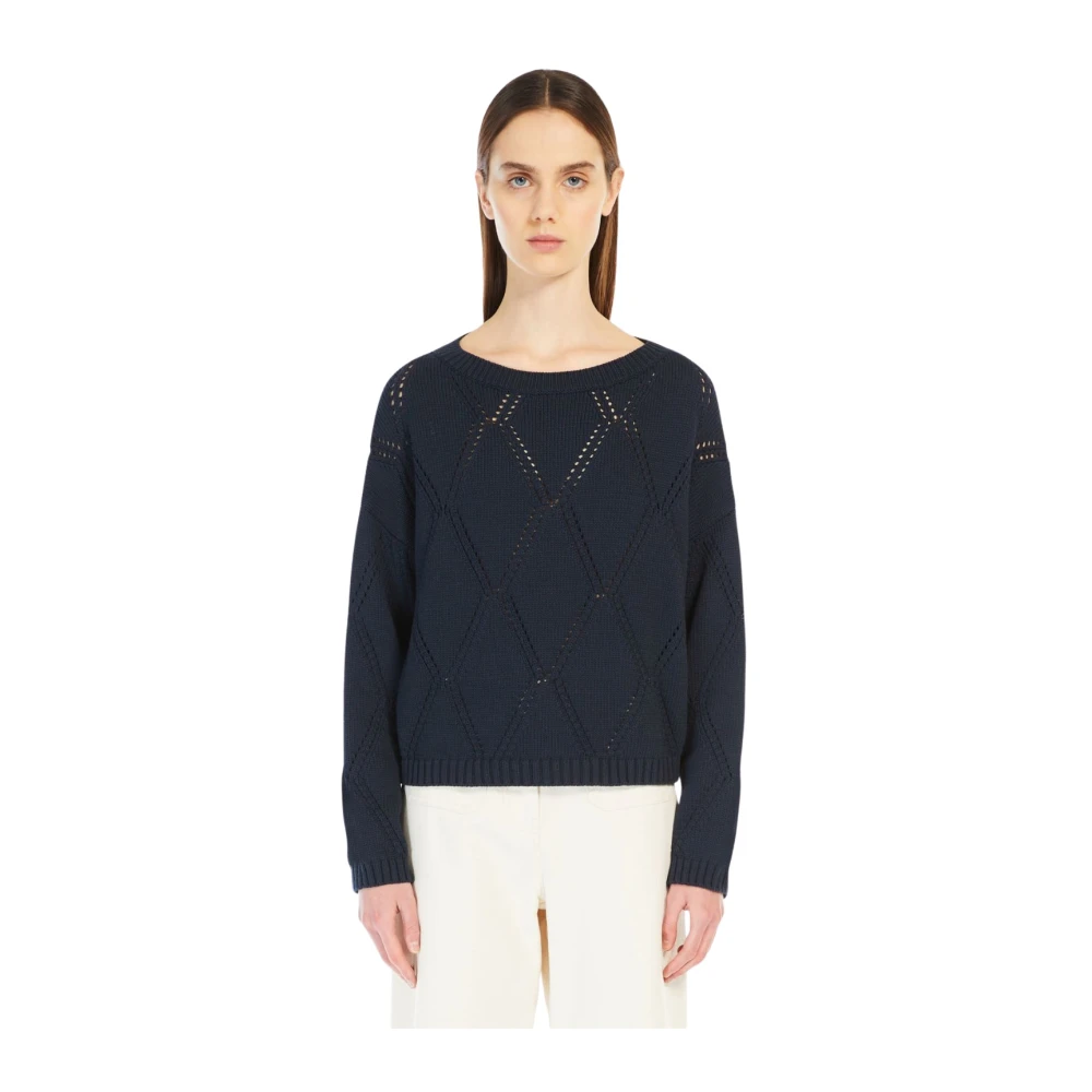 Max Mara Weekend Blauwe Oversized Katoenen Trui met Ruitpatroon Blue Dames