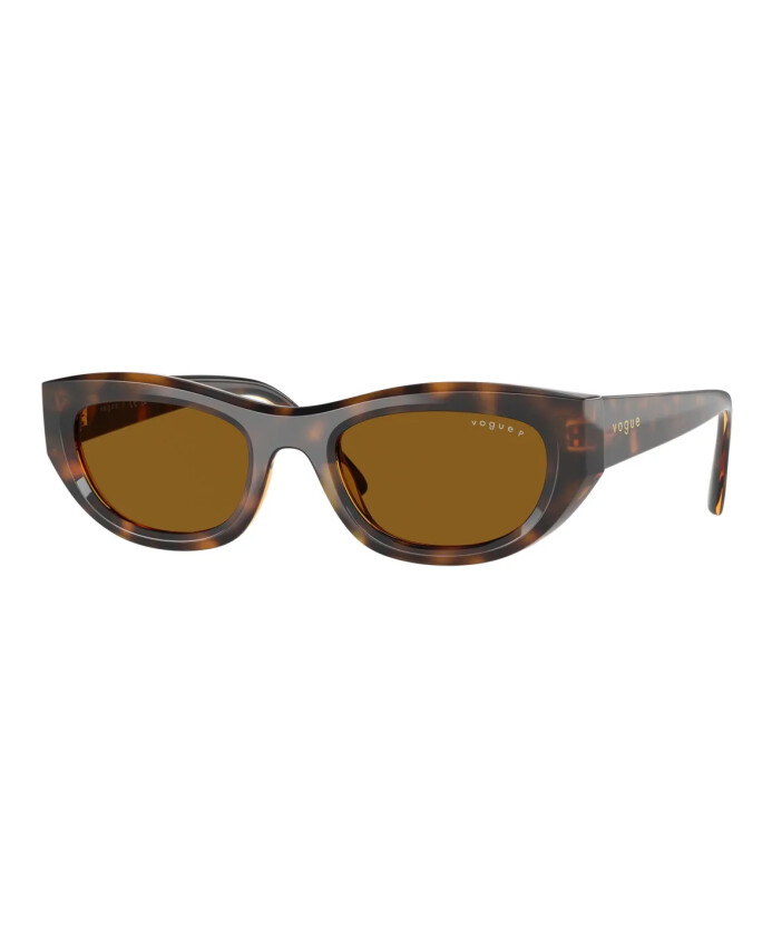 cat-eye-polarized-sunglasses-bold-style