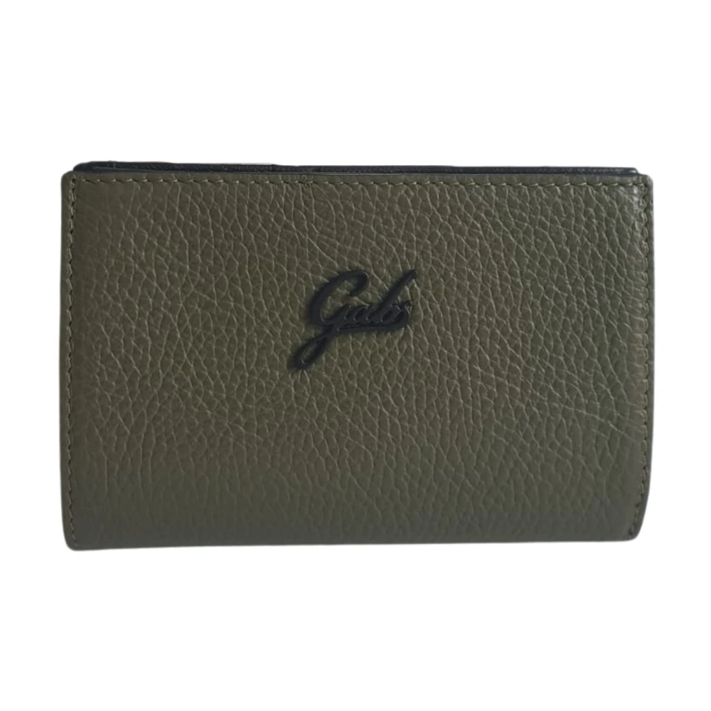 Gabs Women's Green Wallets & Cardholders, One Size, Leather Wallet With Zipper