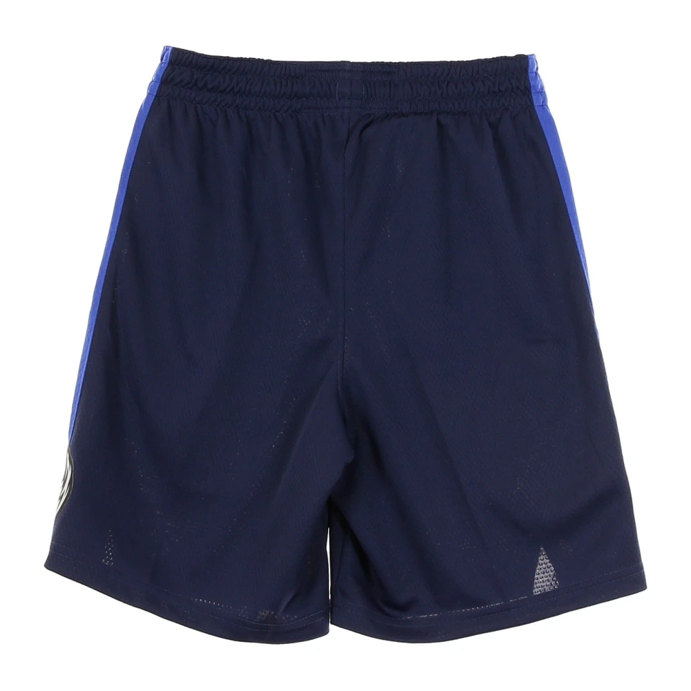 Jordan Dallas Mavericks Basketball Shorts Blue Heren