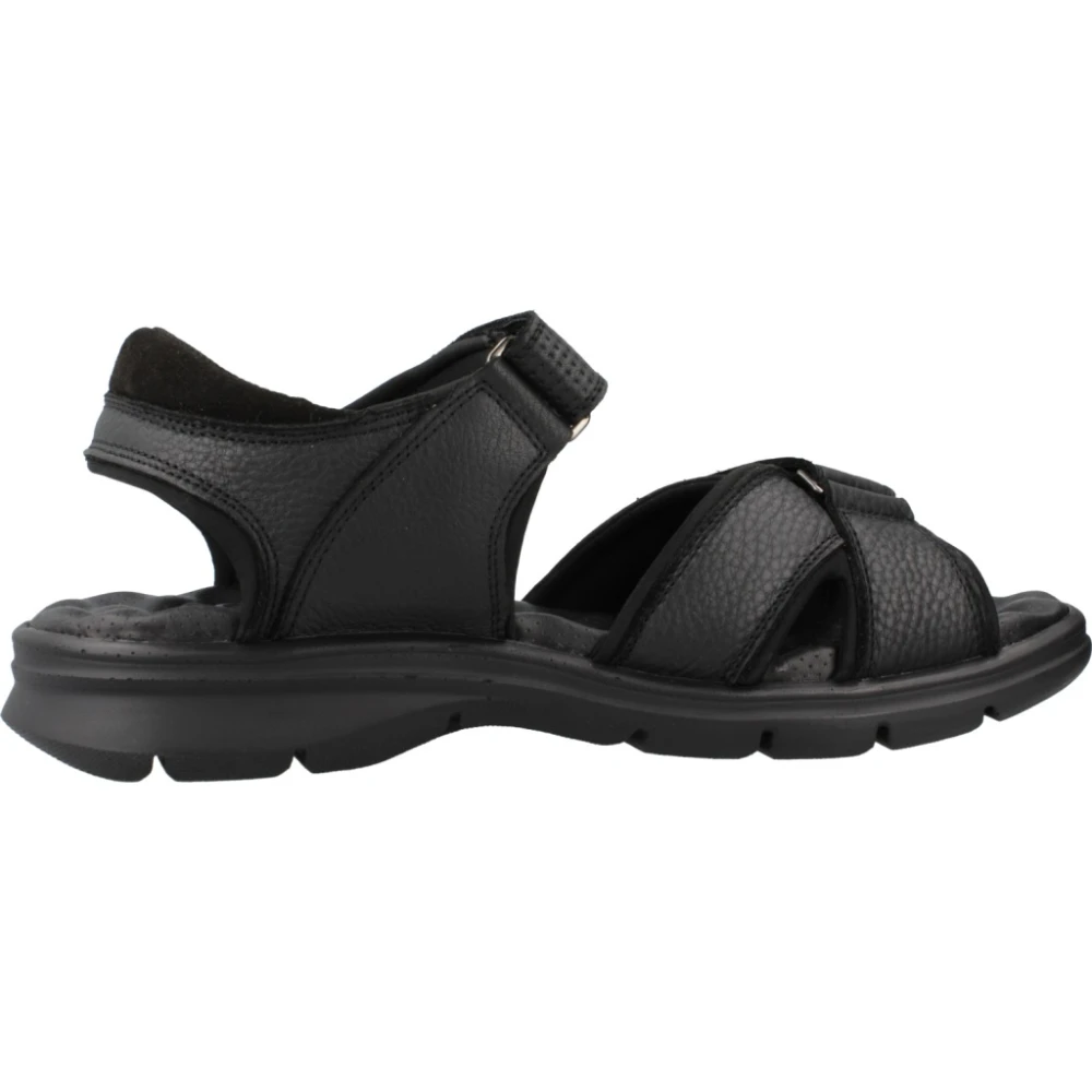 Panama Jack Platta Sandaler med Remmar Black, Herr