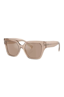 Brun Transparent Solglasögon DG4471 34325A
