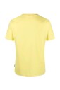 yellow-teddy-bear-t-shirt-cotton-intimate